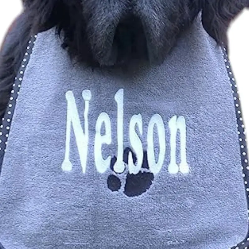 Name with paw bib, photo 2