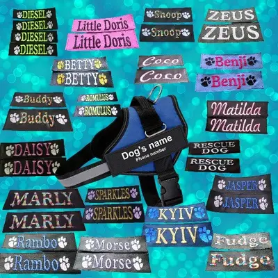 dog harness labels