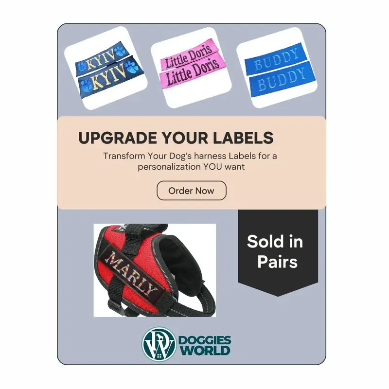 Personalised dog harness labels, photo 2