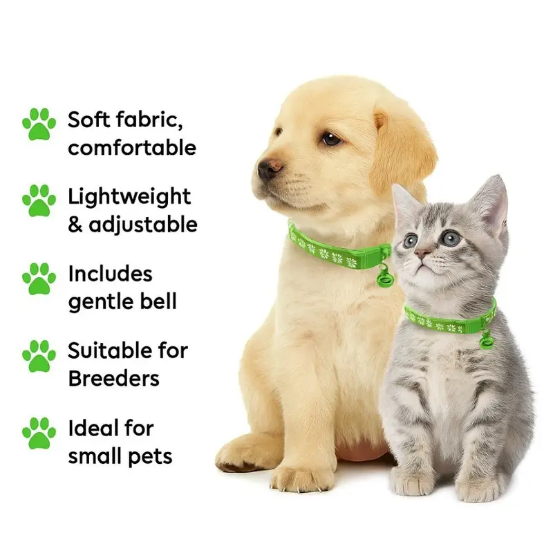 light blue pet collar small