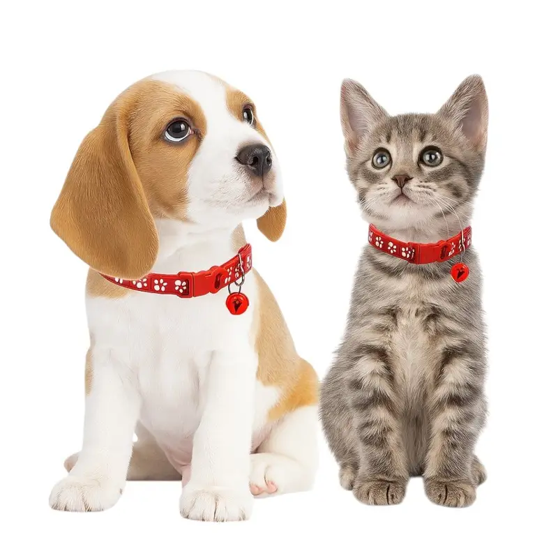 paw print red collar for puppies