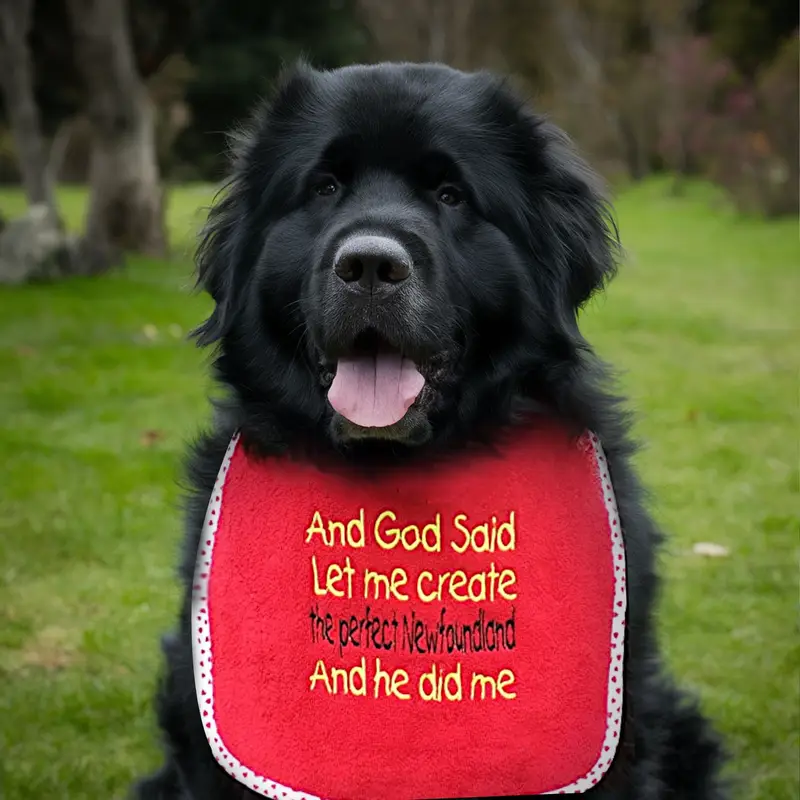 Newfoundland Dog Bib, photo 13