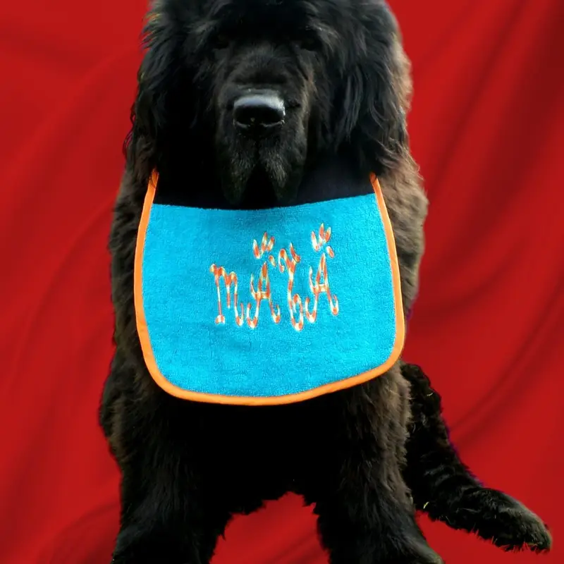 Two Coloured Personalised dog bib with ‘funky’ font embroidery: col