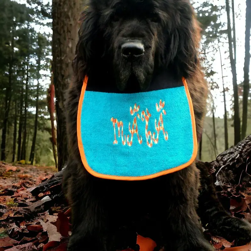 Two Coloured Personalised dog bib with ‘funky’ font embroidery: col