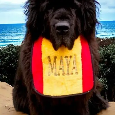 Two Coloured Personalised dog bib: 2coloured