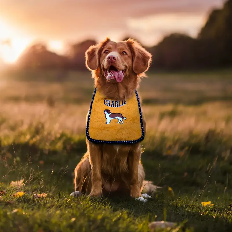 Personalised Saint Bernard Dog Drooling Bib, photo 11