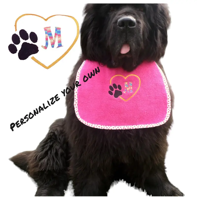 Dog Initials in heart dog bib with rainbow thread, photo 6