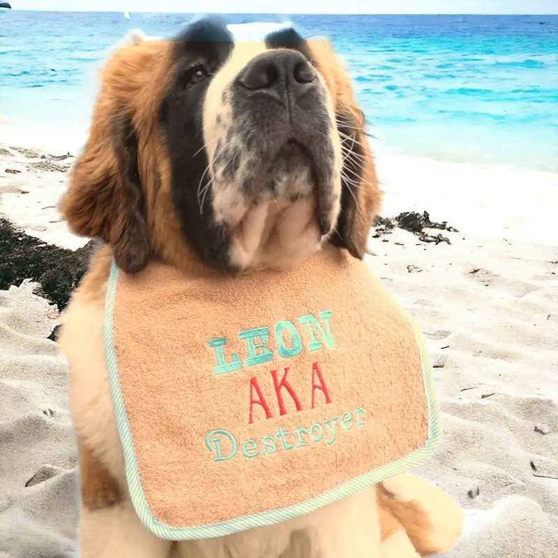 AKA exclusive personalised Dog Bib, photo 12
