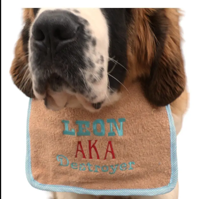 AKA exclusive personalised Dog Bib, photo 11