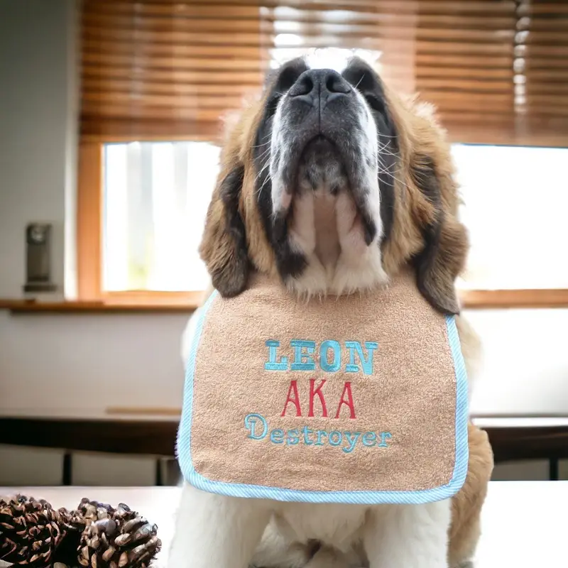 AKA exclusive personalised Dog Bib, photo 7