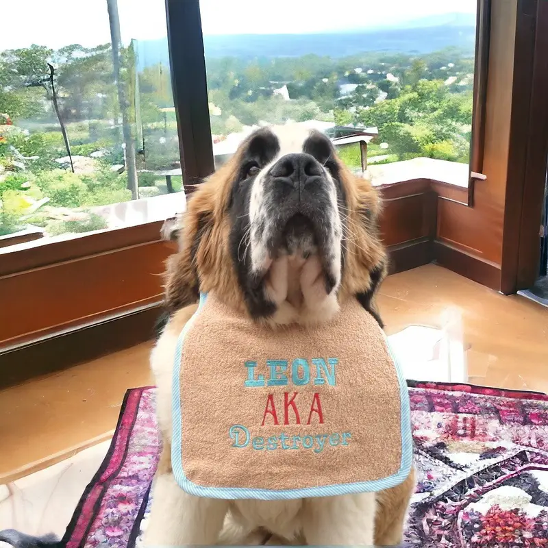 AKA exclusive personalised Dog Bib, photo 3
