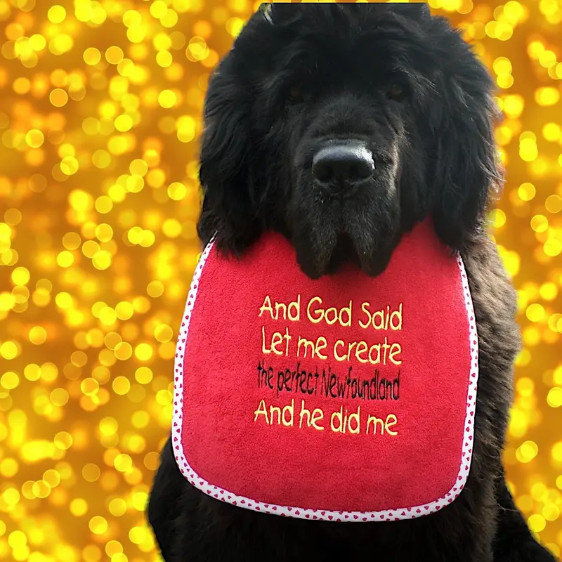 Newfoundland Dog Bib: and god