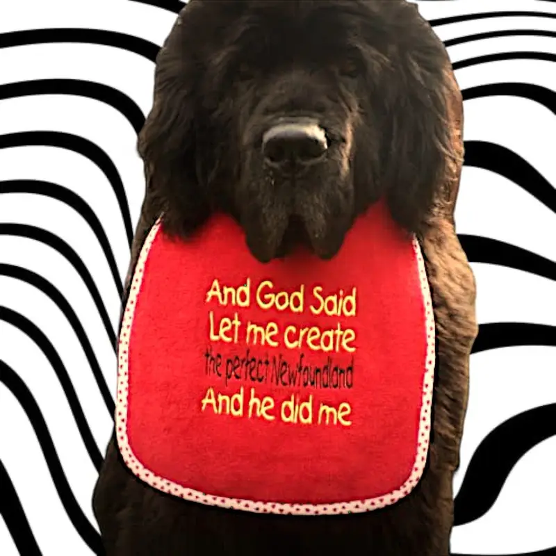 Newfoundland Dog Bib: and god