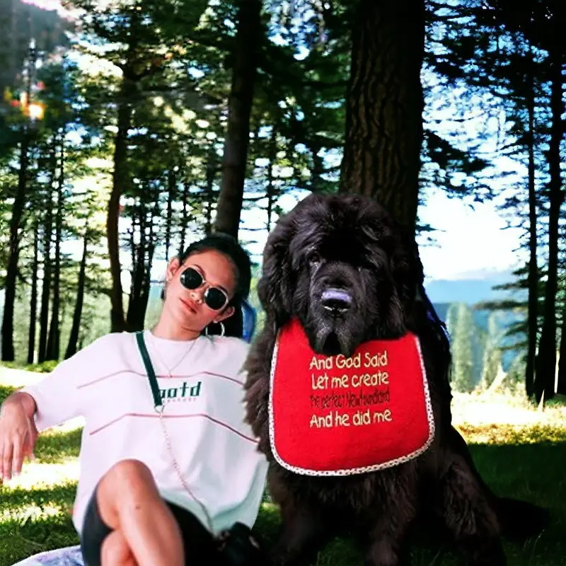 Newfoundland Dog Bib: and god