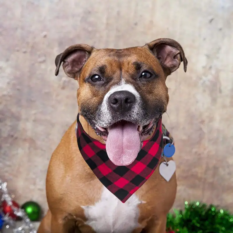 Custom Embroidered Tartan Dog Bandana, photo 3