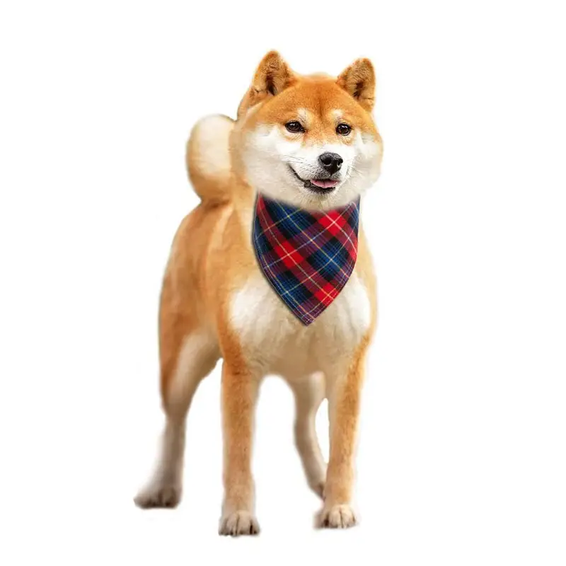 Personalised Dog Bandanas: bandana dog
