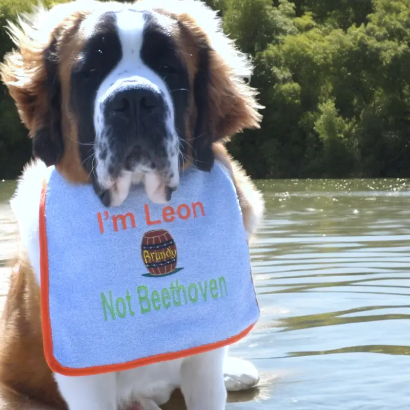 Saint Bernard personalised dog bib with brandy barrel, photo 3