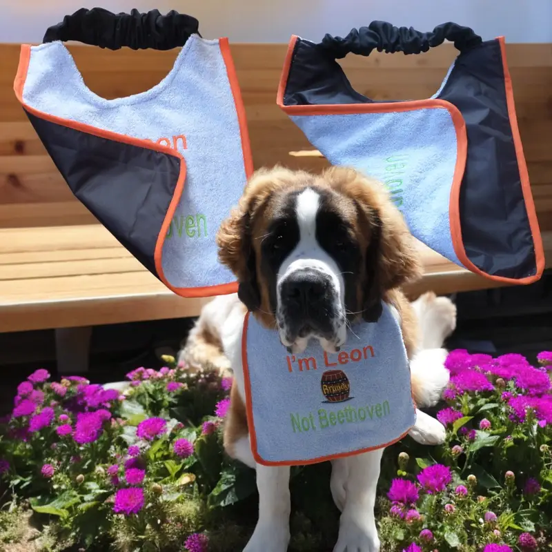 Saint Bernard personalised dog bib with brandy barrel, photo 10