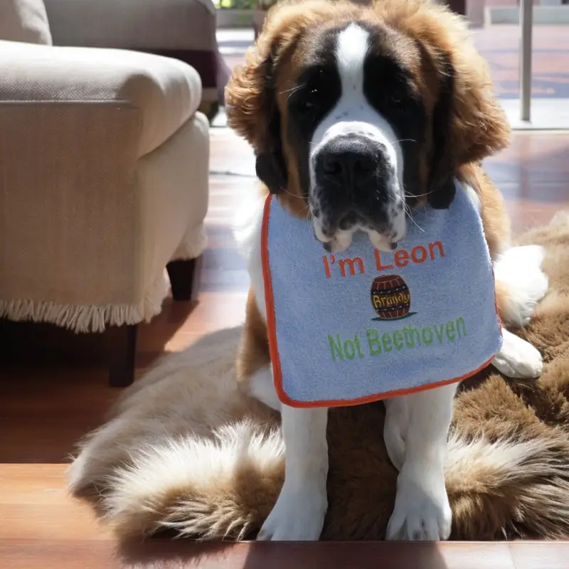 Saint Bernard personalised dog bib with brandy barrel, photo 11