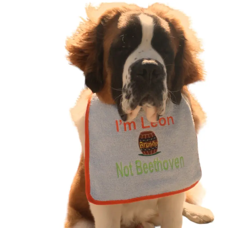 Saint Bernard personalised dog bib with brandy barrel, photo 5