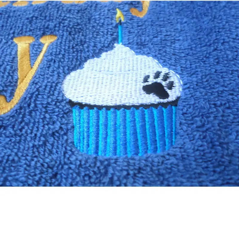 Birthday Boy/Girl dog bib: bday boy