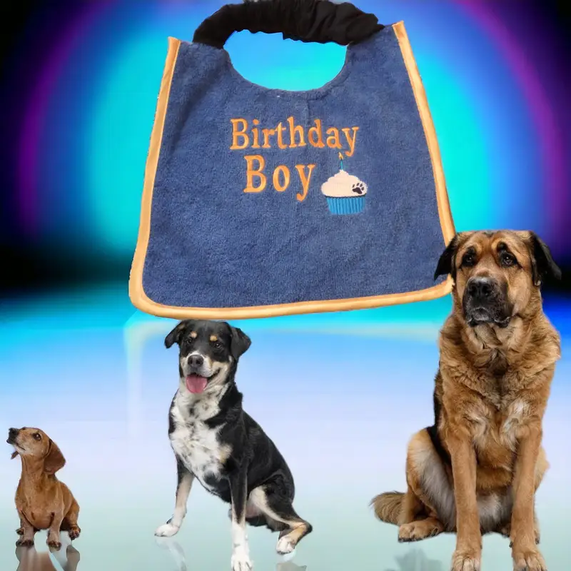 Birthday Boy/Girl dog bib: bday boy