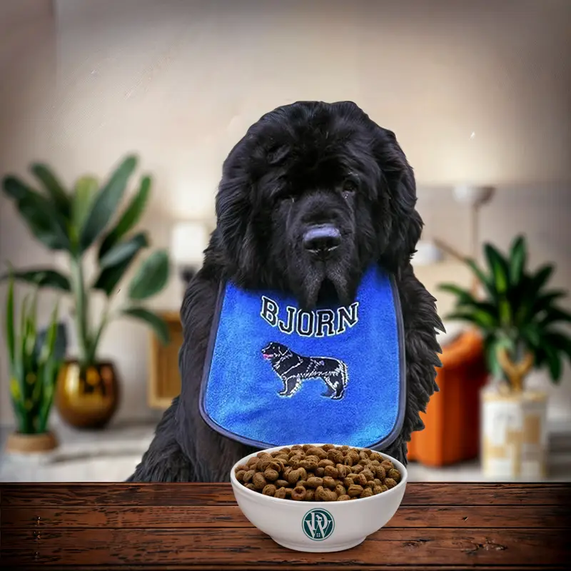 Personalised Newfoundland Dog Drooling Bib: bjorn