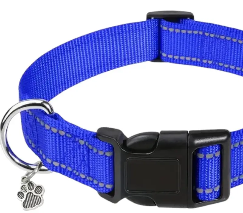 Nylon Strong Dog Collar with reflective stripes & pendant (Blue), photo 2