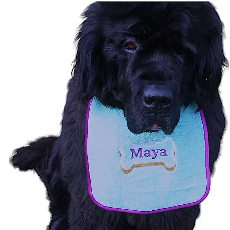 Dog personalised bib with 3D bone design: bone border