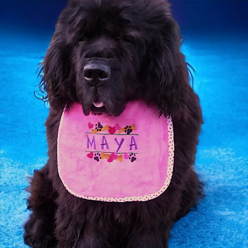Heart, paw & bone stylish border dog bib with personalised name: bone hearts border