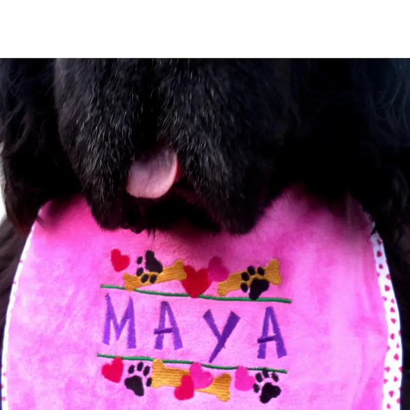 Heart, paw & bone stylish border dog bib with personalised name: bone hearts border