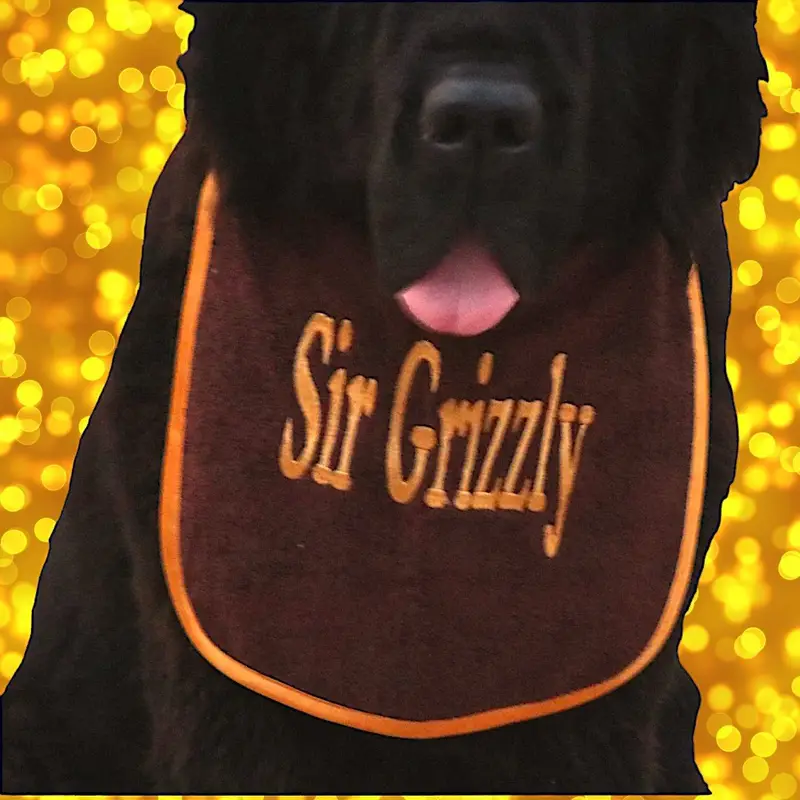Stylish dog bib personalised with name: brown
