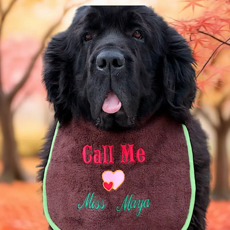 Personalised Dog Bib: call me
