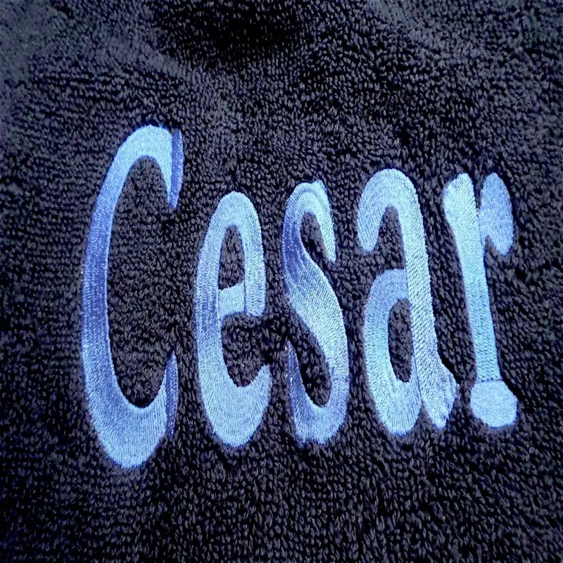 Personalise your own dog bib: cesar