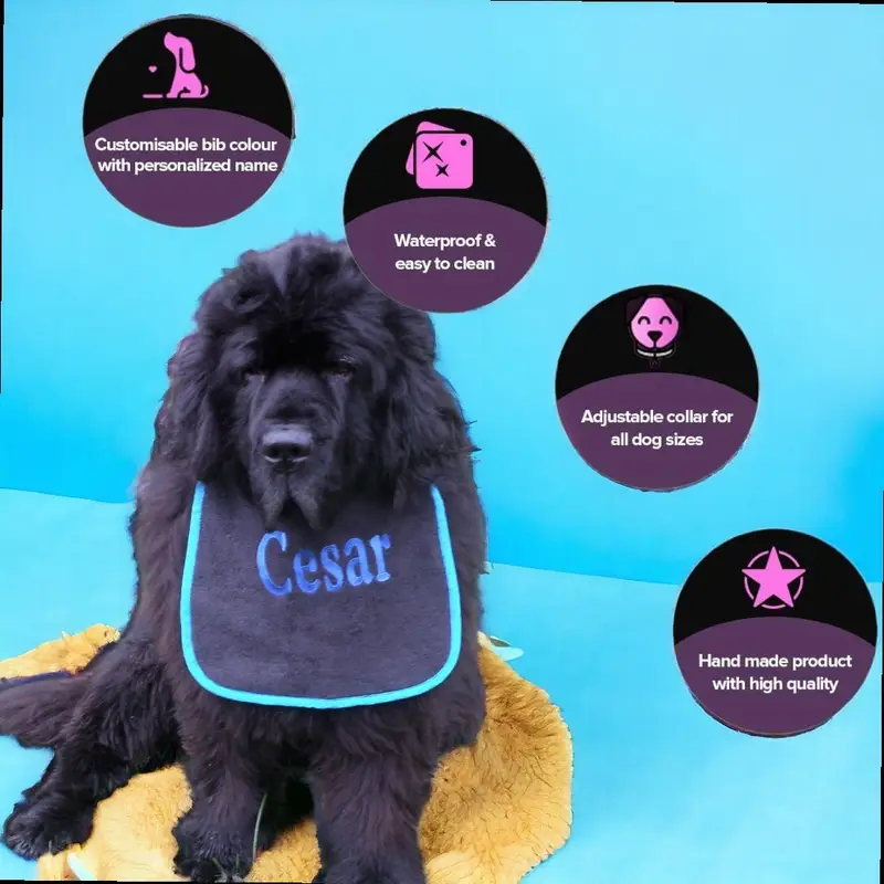 Personalise your own dog bib: cesar
