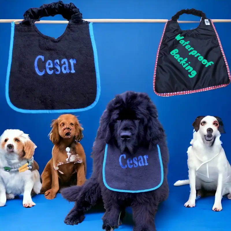 Personalise your own dog bib: cesar