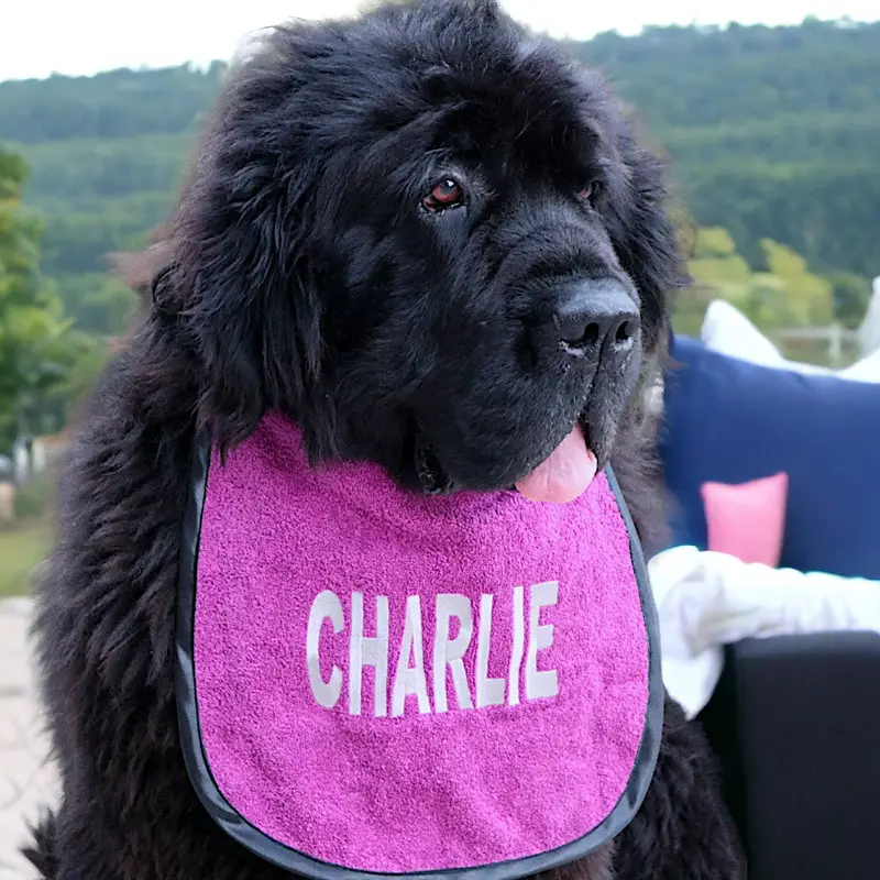 Bib for dog drool: charlie