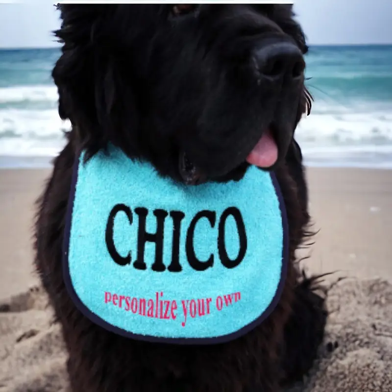 Personalise Your own dog bib: chico
