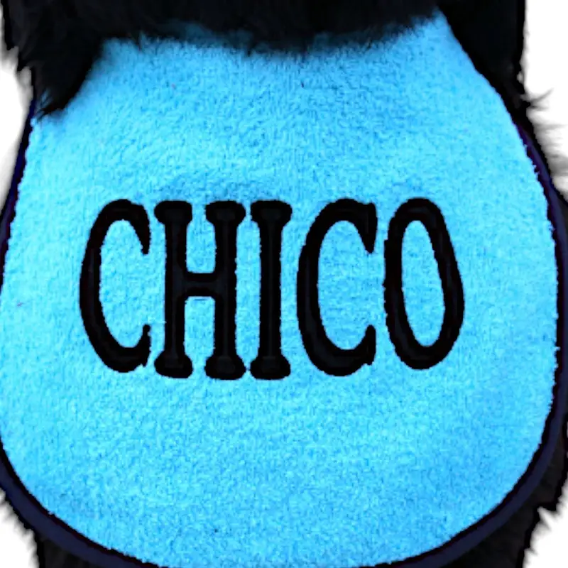 Personalise Your own dog bib: chico