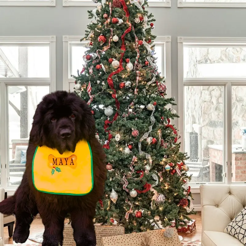 Holiday Personalised Christmas decorative bone dog bib, photo 3