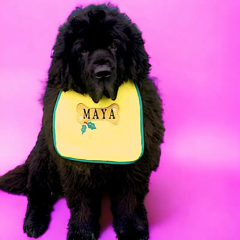 Holiday Personalised Christmas decorative bone dog bib, photo 11
