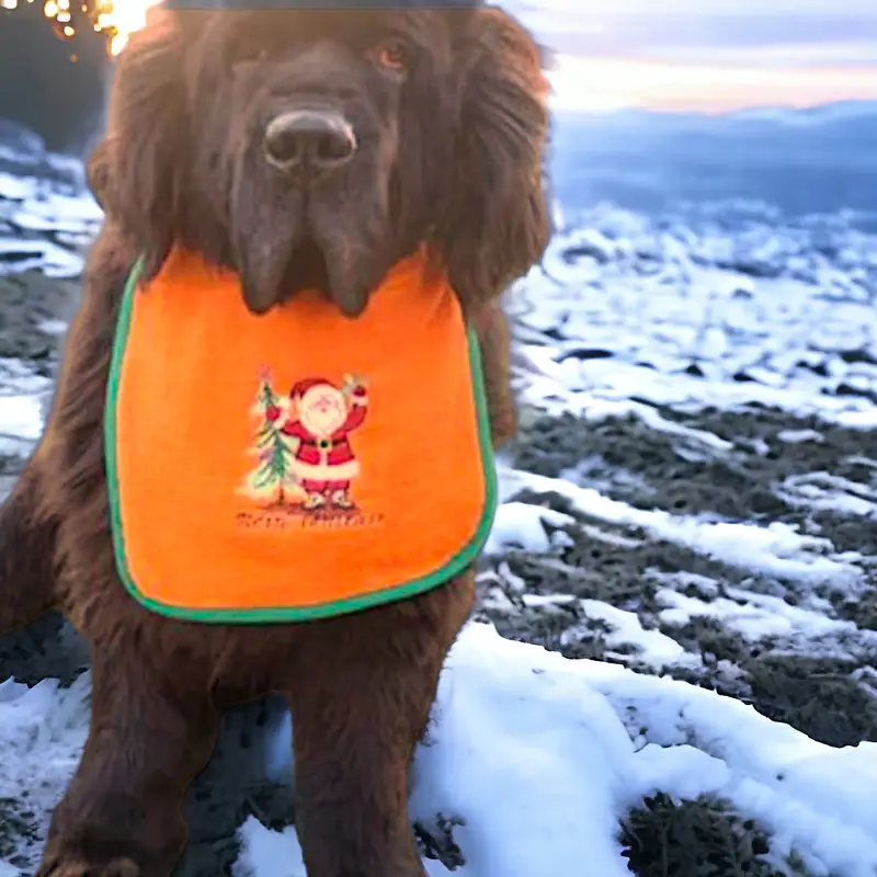 Holiday Christmas dog bib with Santa, photo 3