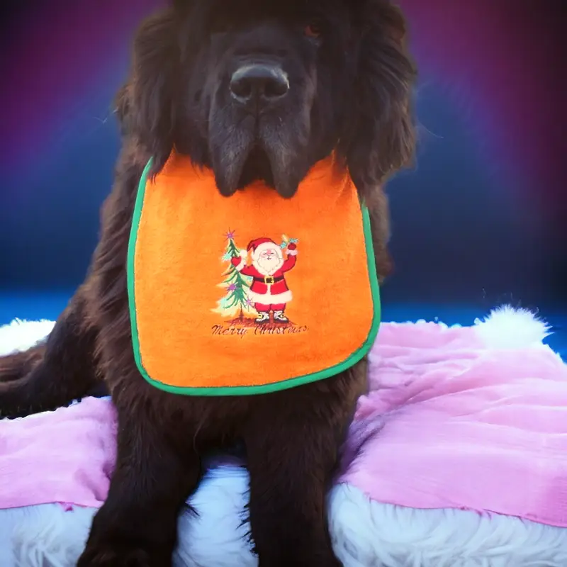 Holiday Christmas dog bib with Santa, photo 9