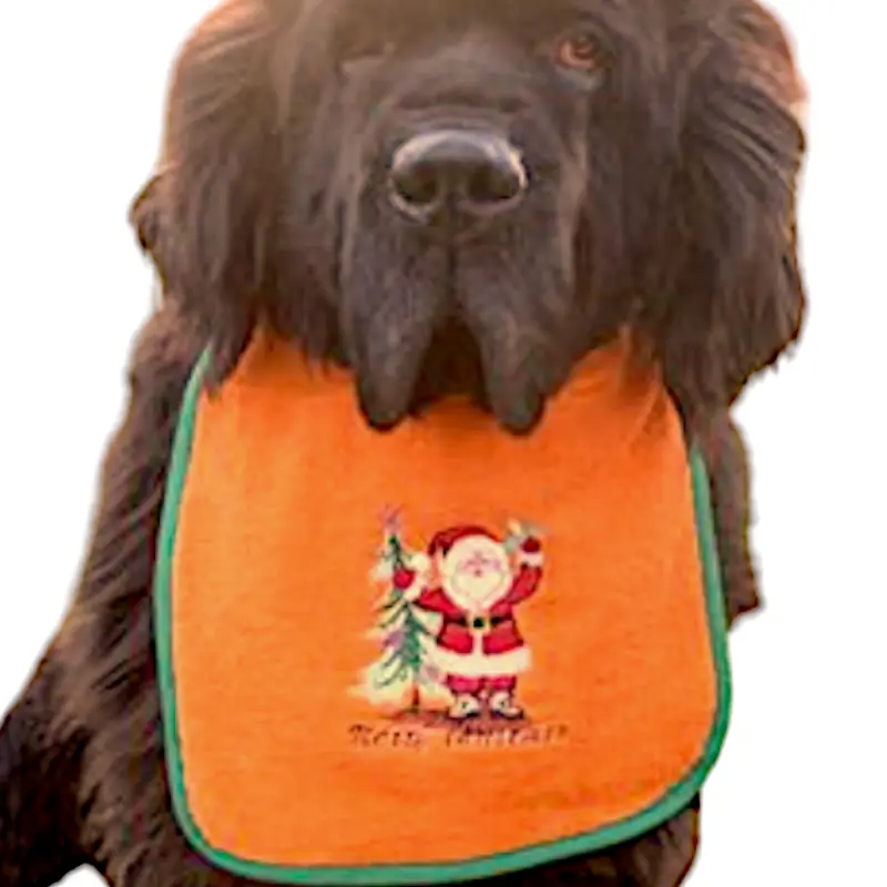 Holiday Christmas dog bib with Santa, photo 5
