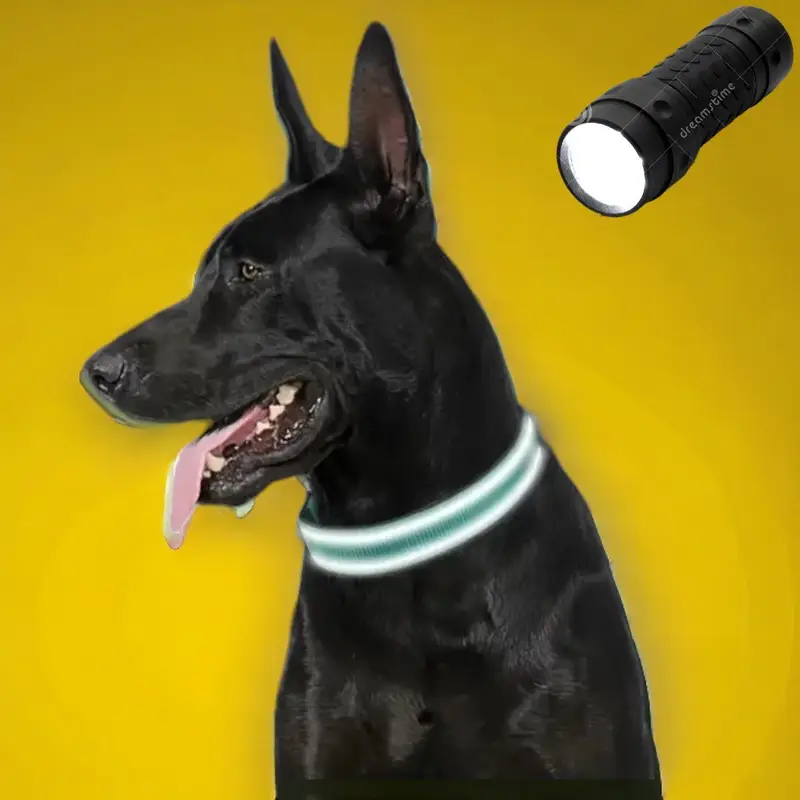 Nylon Strong Dog Collar with reflective stripes & pendant (Neon Green), photo 5