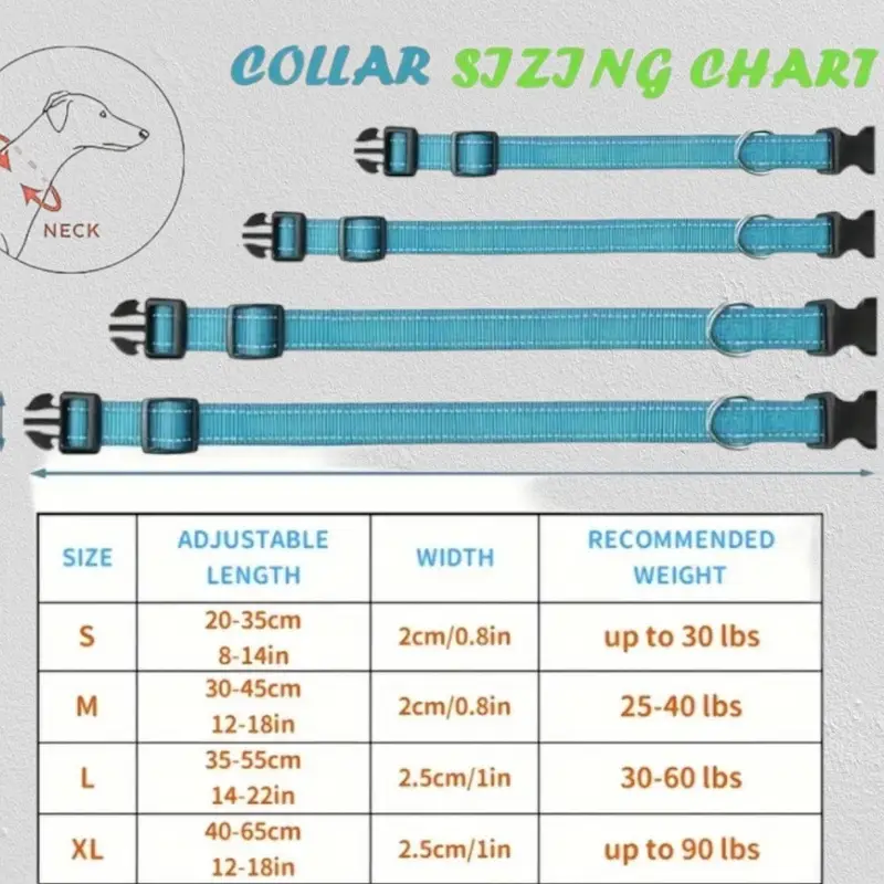 Nylon Strong Dog Collar with reflective stripes & pendant (Sky Blue): collar sizes