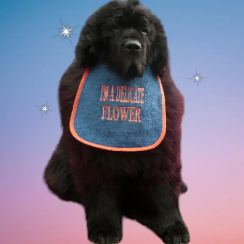 Enchanting ‘DELICATE FLOWER’ Cute Dog Bib, photo 9