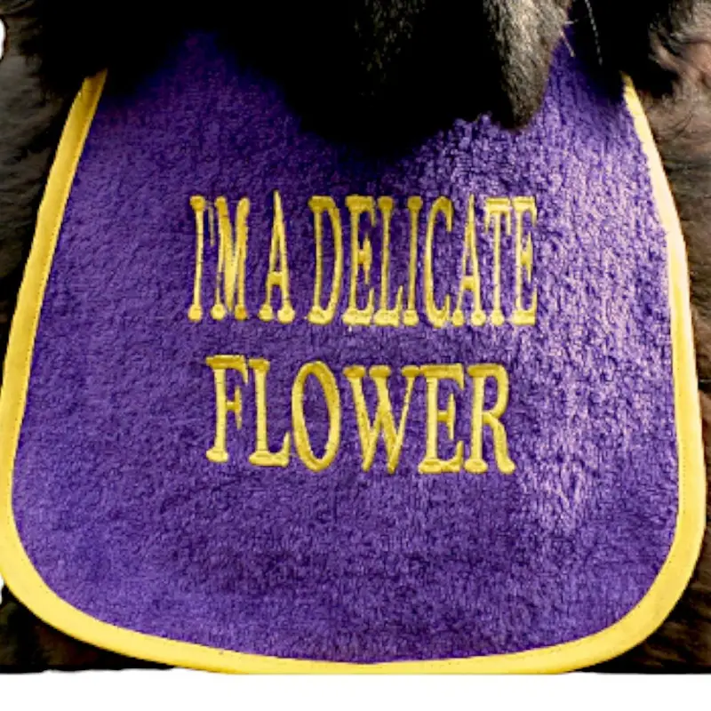 Enchanting ‘DELICATE FLOWER’ Cute Dog Bib, photo 2