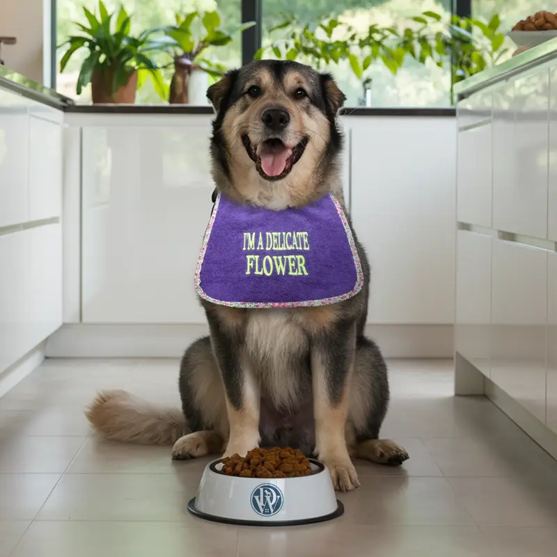 Enchanting ‘DELICATE FLOWER’ Cute Dog Bib, photo 12