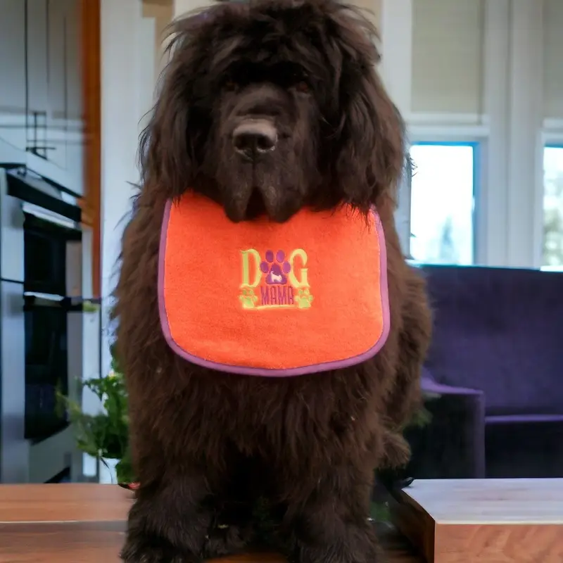 Dog Mama cute chic dog bib, photo 3